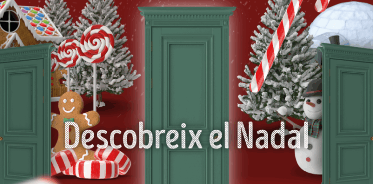 CHRISTMAS EXPERIENCE