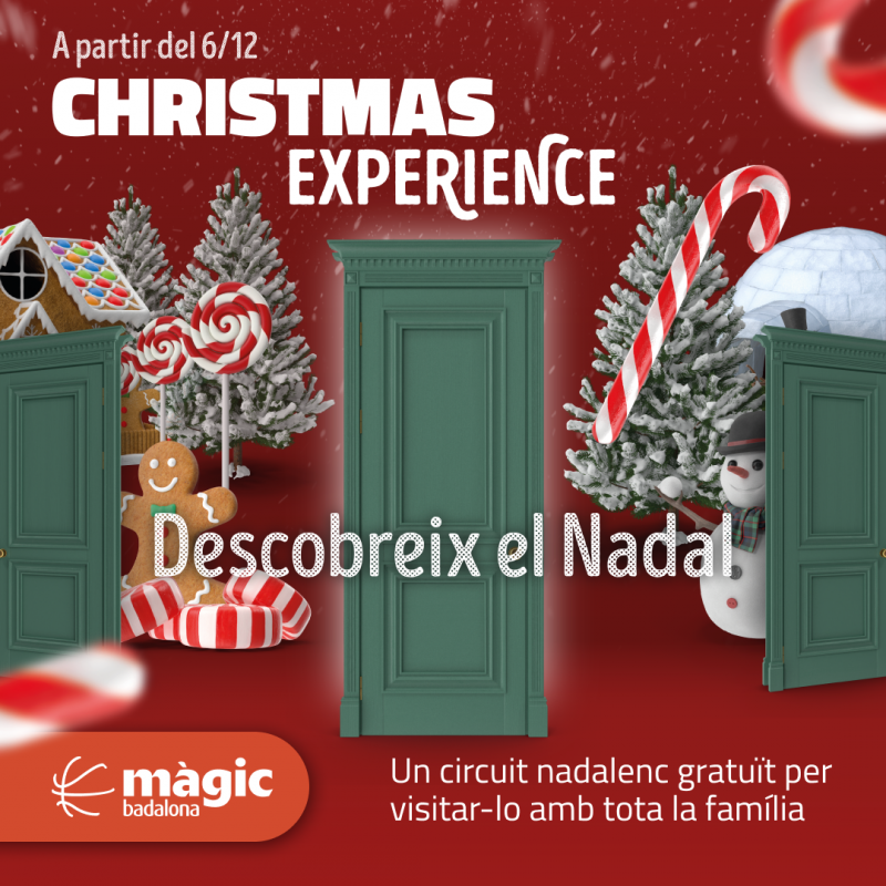 CHRISTMAS EXPERIENCE