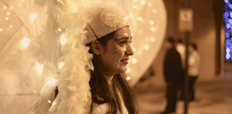 ESPECTACLE: Les fades de llum