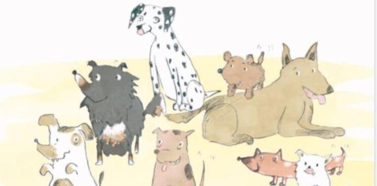 ESPECTACLE: Vull un gosset